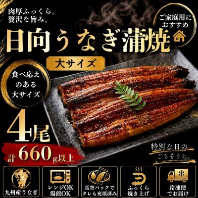 日向うなぎ蒲焼 大4尾(計660g以上)