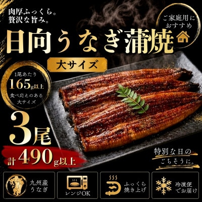 日向うなぎ蒲焼 大3尾(計490g以上)