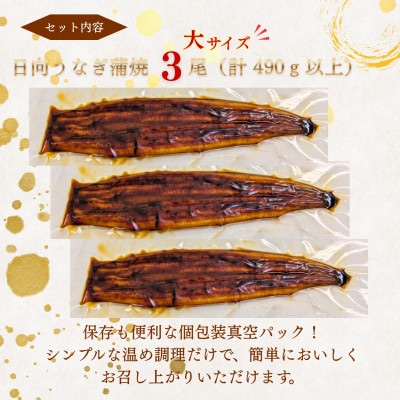 日向うなぎ蒲焼 大3尾(計490g以上)