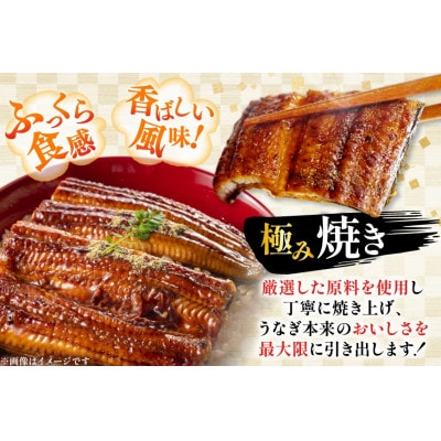 日向うなぎ蒲焼 大3尾(計490g以上)