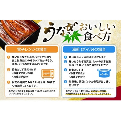 日向うなぎ蒲焼 大3尾(計490g以上)