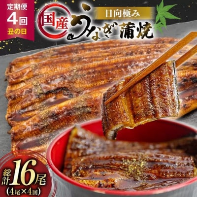 【発送月固定定期便】国産 【 丑の日 季節の定期便 】 日向極み うなぎ蒲焼 4尾 計480g全4回