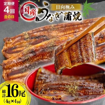 【発送月固定定期便】国産 【 丑の日 季節の定期便 】 日向極み うなぎ蒲焼 4尾 計480g全4回