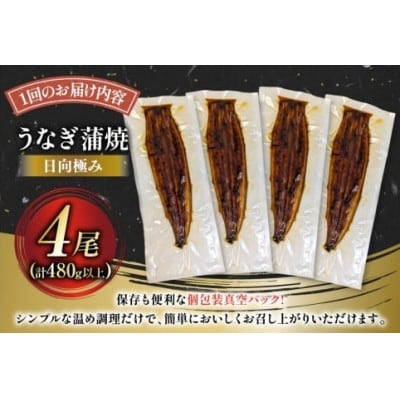 【発送月固定定期便】国産 【 丑の日 季節の定期便 】 日向極み うなぎ蒲焼 4尾 計480g全4回