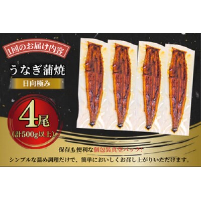【発送月固定定期便】丑の日季節の定期便 国産 うなぎ蒲焼 4尾計500g×4回 全4回