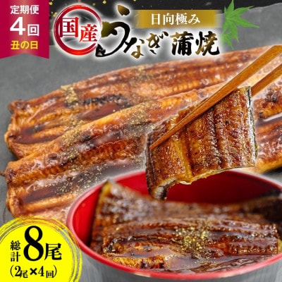 【発送月固定定期便】国産 【 丑の日 季節の定期便 】 日向極み うなぎ蒲焼 2尾 計240g全4回
