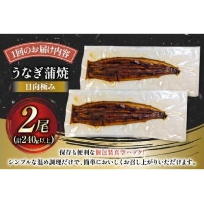 【発送月固定定期便】国産 【 丑の日 季節の定期便 】 日向極み うなぎ蒲焼 2尾 計240g全4回