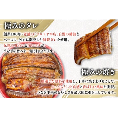 【発送月固定定期便】国産 【 丑の日 季節の定期便 】 日向極み うなぎ蒲焼 2尾 計240g全4回