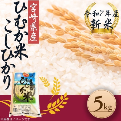 「ひむか米」コシヒカリ 5kg 精米 令和7年産　新米(日向市)