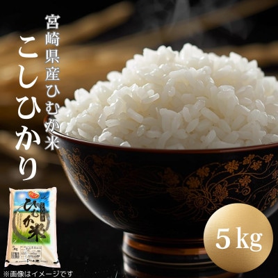 「ひむか米」コシヒカリ 5kg 精米 令和7年産　(日向市)