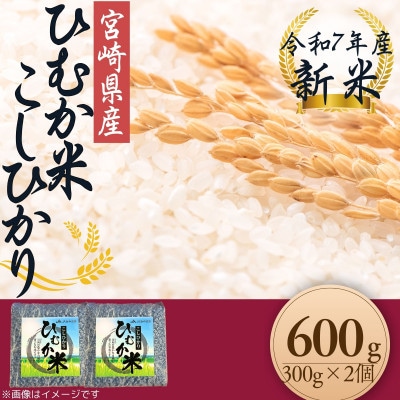 「ひむか米」コシヒカリ キューブ2個セット 600g 精米 令和7年産　新米(日向市) | ふるさと納税のお礼品