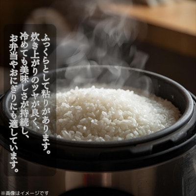 「ひむか米」コシヒカリ キューブ2袋セット 600g 精米 令和7年産　新米(日向市)