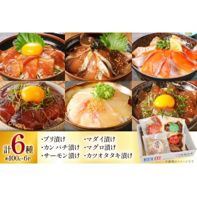 海鮮丼 6種の贅沢食べ比べ丼 1p約100g×6p 真空パック(日向市)