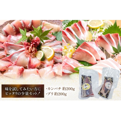 刺身 柵 カンパチ ブリ 少量贅沢 食べ比べセット(日向市)