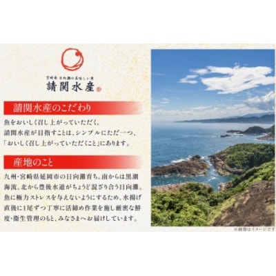 刺身 柵 カンパチ ブリ 少量贅沢 食べ比べセット(日向市)