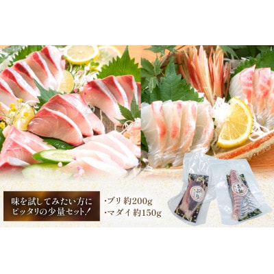 刺身 柵 ブリ 真鯛 少量贅沢 食べ比べセット(日向市)