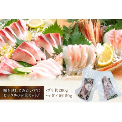 刺身 柵 ブリ 真鯛 少量贅沢 食べ比べセット(日向市)