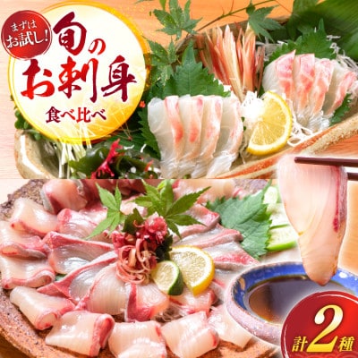 刺身 柵 カンパチ 真鯛 少量贅沢 食べ比べセット(日向市)