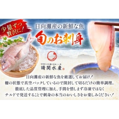 刺身 柵 カンパチ 真鯛 少量贅沢 食べ比べセット(日向市)