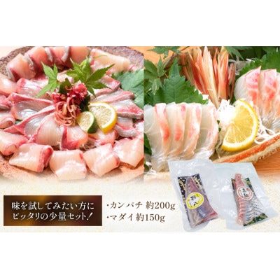 刺身 柵 カンパチ 真鯛 少量贅沢 食べ比べセット(日向市)