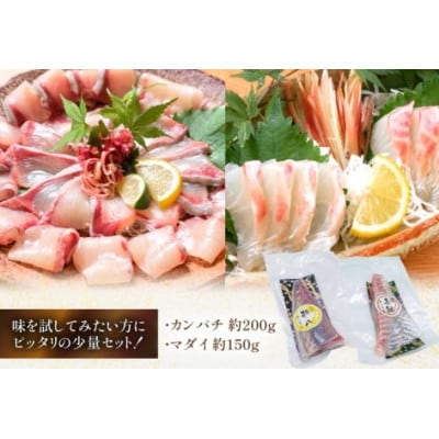刺身 柵 カンパチ 真鯛 少量贅沢 食べ比べセット(日向市)