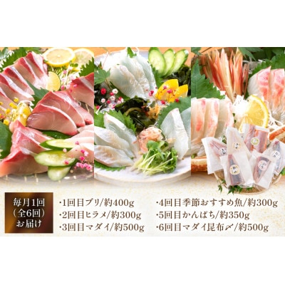 【毎月定期便】刺身 柵 旬のお刺身　全6回