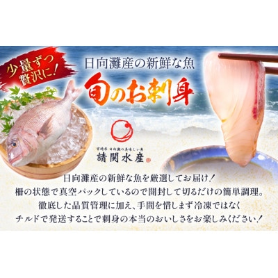 【毎月定期便】刺身 柵 旬のお刺身　全12回