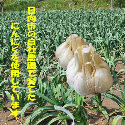 にんにく卵黄　純力　サプリメント[35粒×4袋](約4ケ月分)