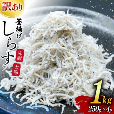 しらす 訳あり お船出 釜揚げしらす 250g 4p 計 1kg
