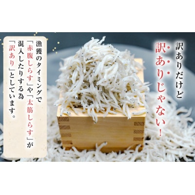 しらす 訳あり お船出 釜揚げしらす 250g 2p 計 500g