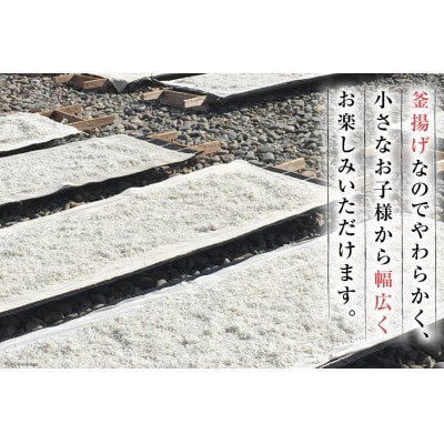 しらす 訳あり お船出 釜揚げしらす 250g 2p 計 500g