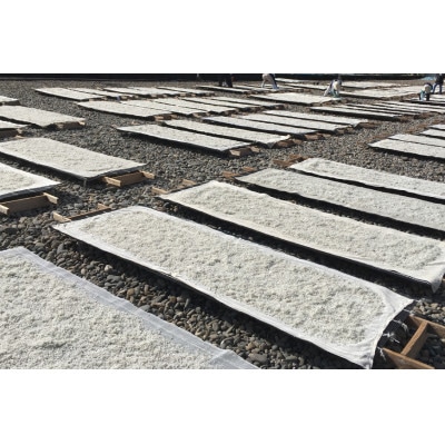 ちりめん 宮崎県産 無添加 ちりめんじゃこ 120g 3p 計360g