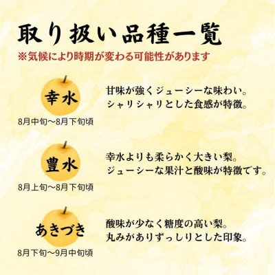 熊本県JAくま産　球磨の梨　5kg(12～16玉　旬な品種)