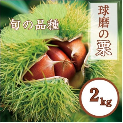 熊本県JAくま産　球磨の栗　2kg(2L以上　旬な品種)