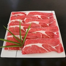 【あさぎり町ふるさと振興社】馬肉スライス1000g