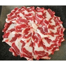 熊本名物　馬の霜降りひも肉  300g