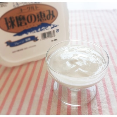 特選牛乳・球磨の恵みヨーグルト(加糖1kg・砂糖不使用1kg)セット【牛乳900ml】