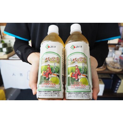 球磨茶 500ml×24本
