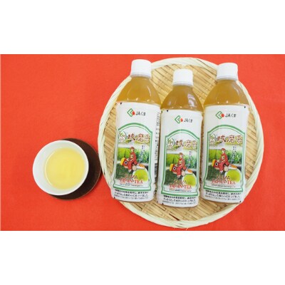 球磨茶 500ml×24本