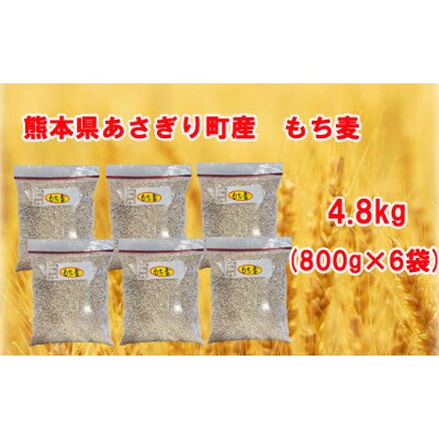 熊本県あさぎり町産　もち麦　4.8kg(800g×6袋)(あさぎり町)