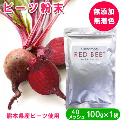 熊本県産 ビーツ粉末 100g×1袋(40メッシュ)