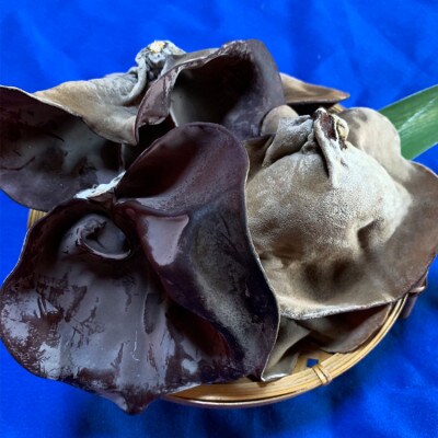 生きくらげ1kg(250g×4パック)　熊本県あさぎり町産