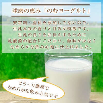 球磨の恵み「のむヨーグルト」砂糖不使用450g×10本セット