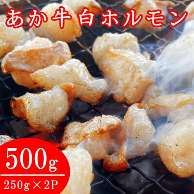 あか牛 白ホルモン 500g(250g×2パック)