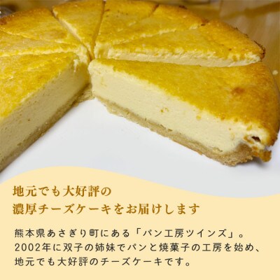 パン工房ツインズの濃厚チーズケーキ 10個入り(2個入×5パック)