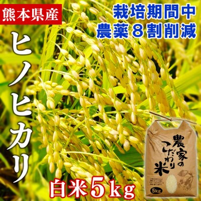 【令和4年産】熊本県あさぎり町産ヒノヒカリ　白米5kg　栽培期間中農薬8割削減