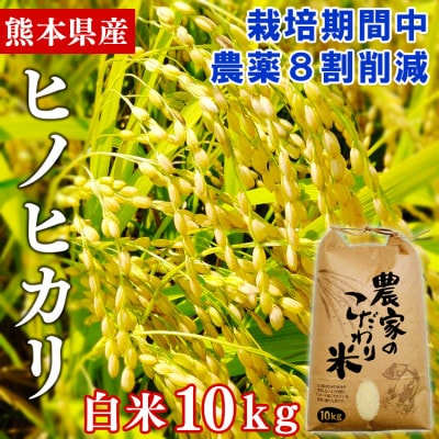 【令和4年産】熊本県産ヒノヒカリ 白米10kg 栽培期間中農薬8割削減