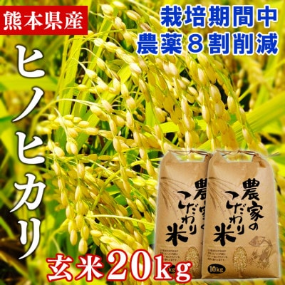 【令和4年産】熊本県産ヒノヒカリ 玄米10kg×2袋 栽培期間中農薬8割削減