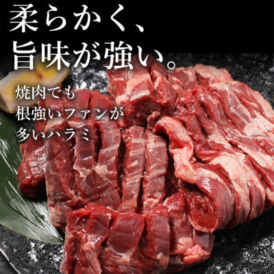 厚切り牛ハラミステーキ 1kg(500g×2パック)(あさぎり町返礼品)
