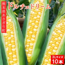 熊本県あさぎり町産 とうもろこし「ドルチェドリーム」 3L&times;10本 【スイートコーン】